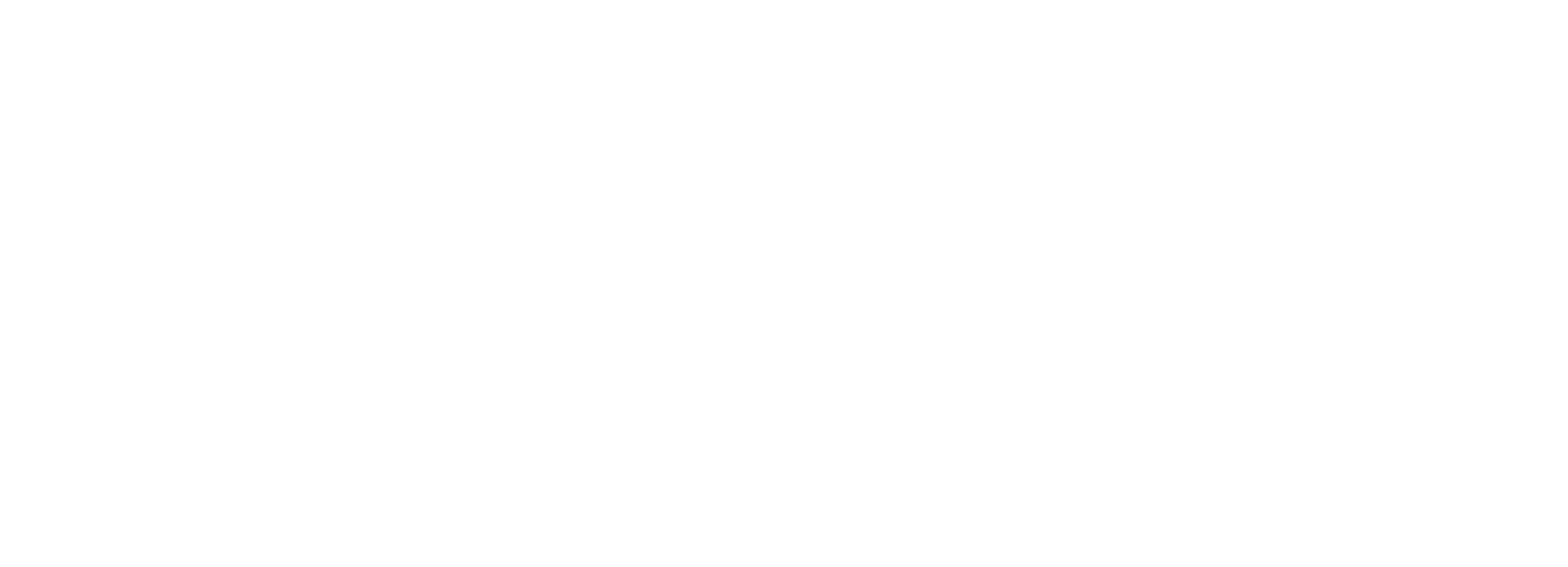 partners-ct20